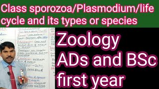 life cycle of plasmodium and its typesMiller harley zoologyCh8 [upl. by Ruel]