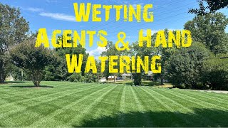 Lawn Care Wetting Agents Tips And Tricks For Hot And Dry Spots [upl. by Ahsieni239]