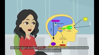 Was sind zirkadiane Rhythmen Grundlagen der Psychologie Biologische Rhythmen [upl. by Esiouqrut]