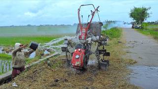 Quick Tiller Tractor Tilling Field Walking Out Then Washed [upl. by Ducan107]