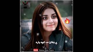 Gul panra new tappy  Meena kawal Gul panra new sad song  😞 [upl. by Nymassej]