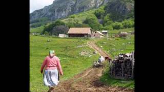 Mircea Baniciu  Vara la tara  Tristeti provinciale 1981 [upl. by Barthol]