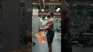 Full Shoulder Workout with Plates Fitness Motivation [upl. by Campy]