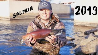 KOKANEE SALMON Rigging  RodReelLine  Downrigger amp Planer Board Setup Explained [upl. by Tullusus]