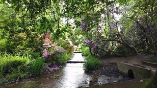 Bushy Park Woodland Gardens [upl. by Tdnerb]