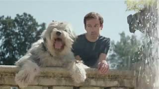 Voltaren Emulgel  The Big Dog TV Commercial 2016 [upl. by Jerrilee]