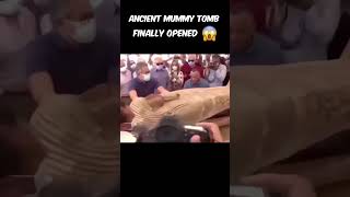 Unsealing a 2500YearOld Mummy Tomb Live AncientEgypt MummyMystery archaeology [upl. by Ahsaz]