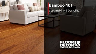 Bamboo 101 [upl. by Anreval]