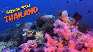 Richelieu Rock Surin amp Similan Islands Thailand Scuba 4K  An Absurdity of Abundance 😲 [upl. by Innob534]