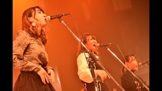 The Spandettes 関学文総軽音KGLMC [upl. by Hildegard735]