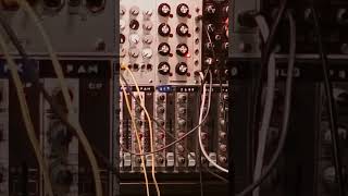 Experimental Synth Jam Behringer 2600 Moog DFAM amp Arps Through Dave Smith’s Feedback Module [upl. by Kunz990]