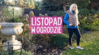 Listopad w ogrodzie Lista prac ogrodowych na listopad [upl. by Asp]