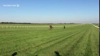 Galileo Gold at work [upl. by Ahsienyt]