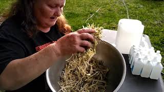 Making A Witch Hazel LinimentIsopropyl Alcohol Extraction [upl. by Chae526]