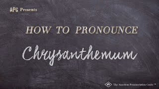 How to Pronounce Chrysanthemum Real Life Examples [upl. by Ayotan438]