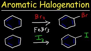 Aromatic Halogenation Mechanism  Chlorination Iodination amp Bromination of Benzene [upl. by Wattenberg]