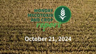 Monday Mycotoxin and Crop Report for October 21 2024 [upl. by Norry]