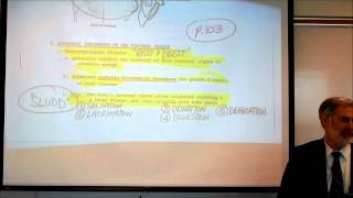 AUTONOMIC NERVOUS SYSTEM PART 3 by Professor Finkwmv [upl. by O'Carroll]