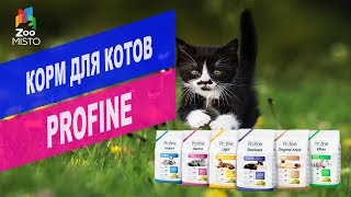 Корм для котов Profine  Обзор корма для котов Profine [upl. by Ahsela]