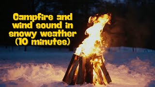 Campfire and wind sound in snowy weather 10 minutes [upl. by Ahsitaf]