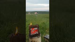 Dartmoor Moments Campfire with Ewe amp Lamb dartmoor visitdevon devonlife southdevon [upl. by Airotkciv]