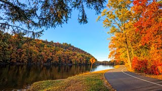 Fall Foliage Peaceful Autumn Life in the American  Nepali Vlogfallfoliage newengland [upl. by Nuahsar]