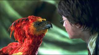 Harry Potter Soundtrack  Fawkes the Phoenix Theme [upl. by Nirac]