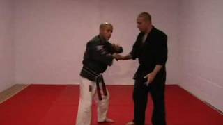 CASA DE KENPO  BROWN BELT  CIRCLING FANS [upl. by Barkley]