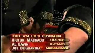 Roy Jones Jr vs Lou Del Valle  15 [upl. by Mariya607]