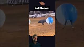 Bull vs Humans Bubble Soccer Chaos superman super shorts memes starman [upl. by Ravo]