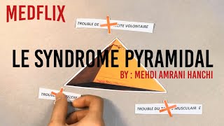 SÉMIOLOGIE NEUROLOGIE  LE SYNDROME PYRAMIDAL [upl. by Sido]