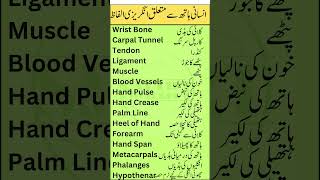 Hand Anatomy Vocabulary in English with Urdu Meanings  Smart Study Zone  Part 3 [upl. by Amo]