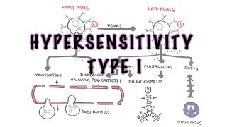 Hypersensitivity Type I reaction Immediate or allergic reaction  pathophysiology [upl. by Nide806]