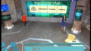 Dr OZ Indonesia Manfaat Daun Kelor 1 November 2014 [upl. by Akenahs]