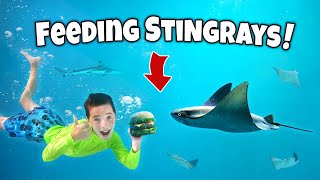 WE SWIM with STINGRAYS and SHARKS Kids Myrtle Beach adventure [upl. by Lavotsirc]