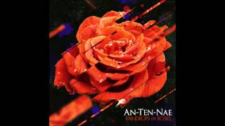 AnTenNae  Lightning on Raindrops On Roses 2013 HQ [upl. by Reta897]