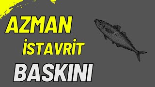 LRF İLE ATÇEK AZMAN İSTAVRİT AVI KATİL SİLİKON REİNS VE ANGELWORM [upl. by Nilloc]