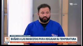 Entrevista a Nicolás Escobar médico veterinario UDLA [upl. by Ydaf]