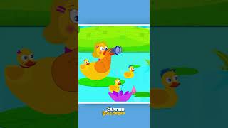 Five Little Ducks Went Swimming One Day shorts nurseryrhymes [upl. by Ayikaz989]