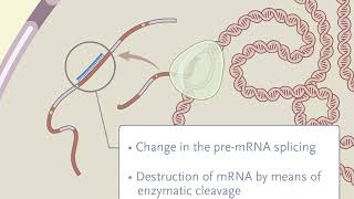 Treating Disease at the RNA Level with Oligonucleotides [upl. by Yemirej]