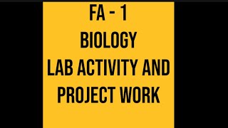 8thClass Lab Activity Biology  Onion peels in microscope and Project work About 8 scienticts [upl. by Berry]