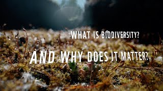 What is biodiversity And why does it matter  COP15 in Montreal [upl. by Pass959]