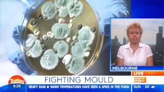 Today Show Australia  Black Toxic Mould [upl. by Cato]