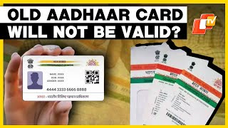 Aadhaar Card Holders Need To Revalidate Cards September 14 Deadline Set For Free Update [upl. by Odirfliw49]