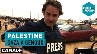 Palestine  Gaza à genoux  L’Effet Papillon [upl. by Eevets250]