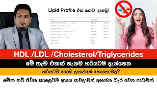 Cholesterol HDL LDL ගැන ඇත්ත දැනගෙන හිටියද Fat Metabolism By Nutritionist Hiroshan Jayaranga [upl. by Opportina6]