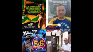 HIPISMO PROFESIONAL DOMINGO 220924 [upl. by Aisilef]