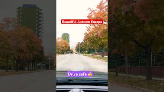 Beautiful Driving driving drivingtips drivingtest cardriving g [upl. by Nannahs]