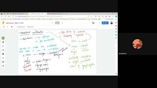 A level  Monoclonal antibodies and hybridomas  A quick revision [upl. by Gulick809]