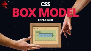 Learn CSS BOX MODEL  With Real World Examples [upl. by Trovillion266]